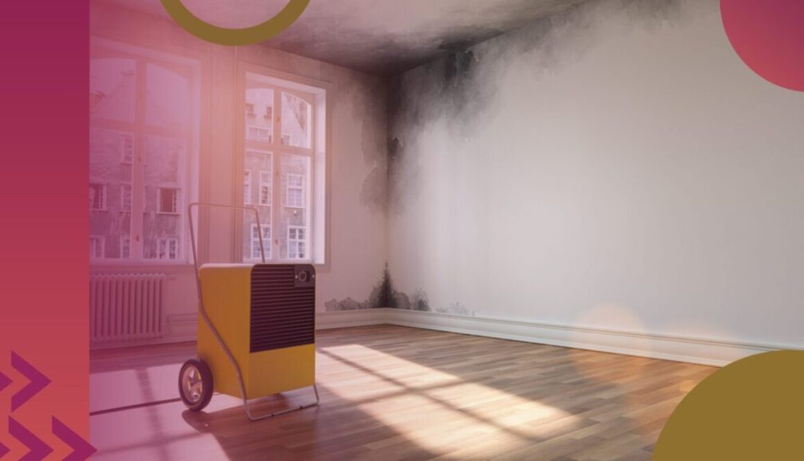 housing disrepair blog